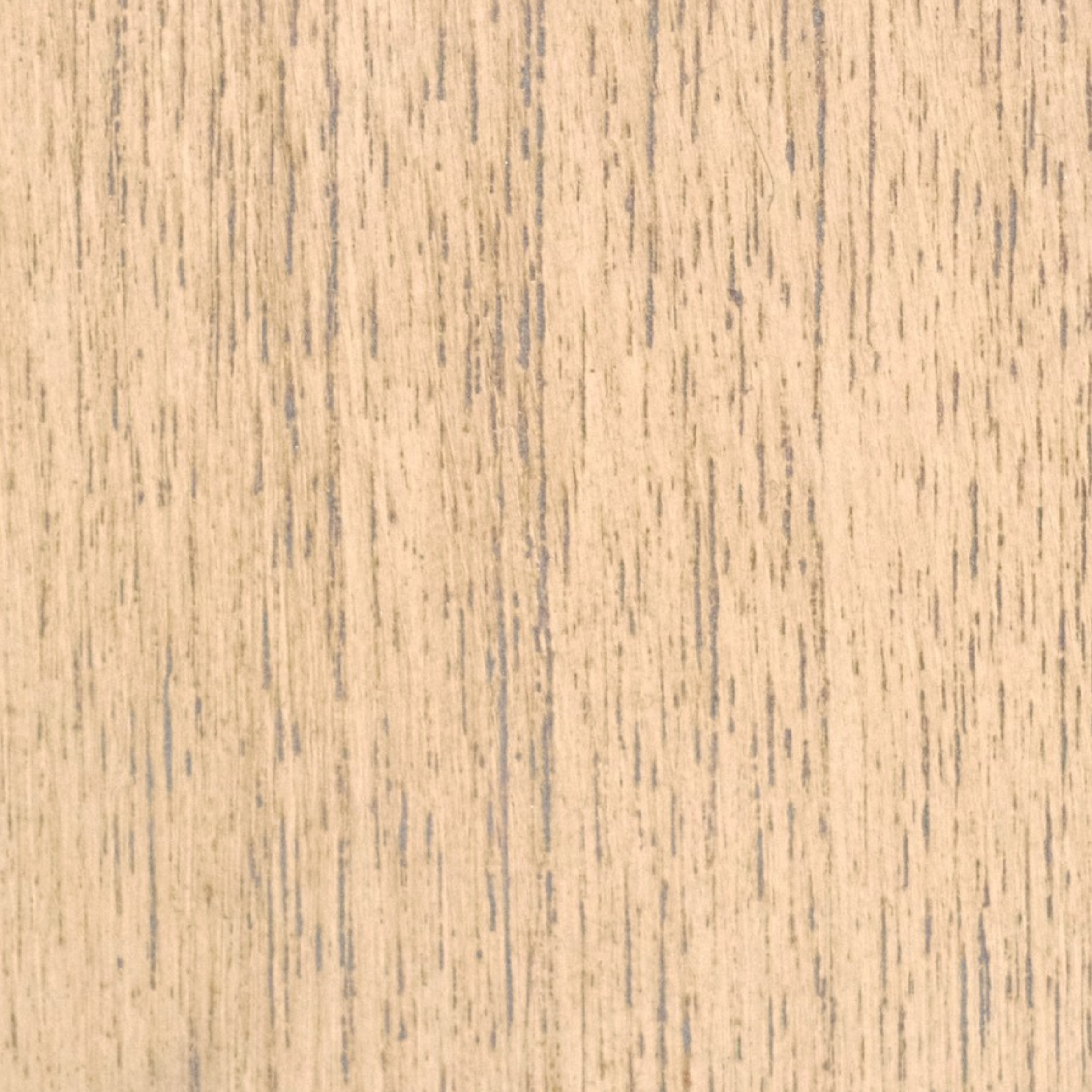 RENNES WASHED - FW021